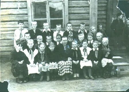 Половинное целинный курганская область