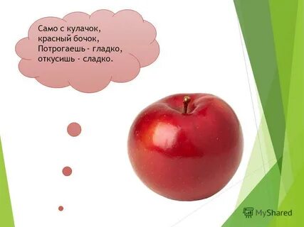 Красный бочок