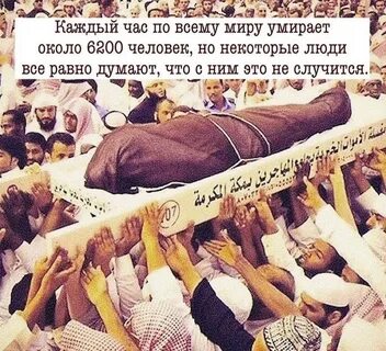 Поделись праздником со всеми таков ведущий