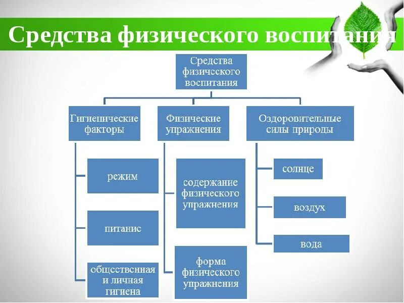 Физическое воспитание основные методы. Средства физического воспитания. Методы и факторы физического воспитания. Гигиенические факторы средств физического воспитания. Перечислите средства физического воспитания.