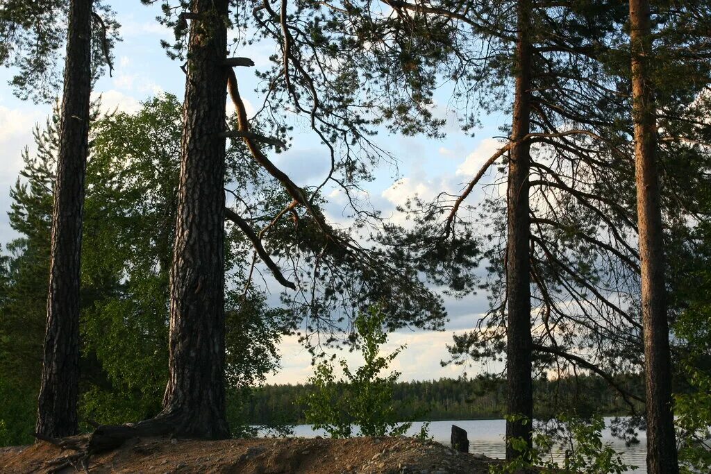 подкова костомукша баня. подкова костомукша. подкова костомукша.
