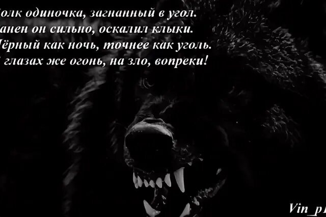 Я одинокий волк