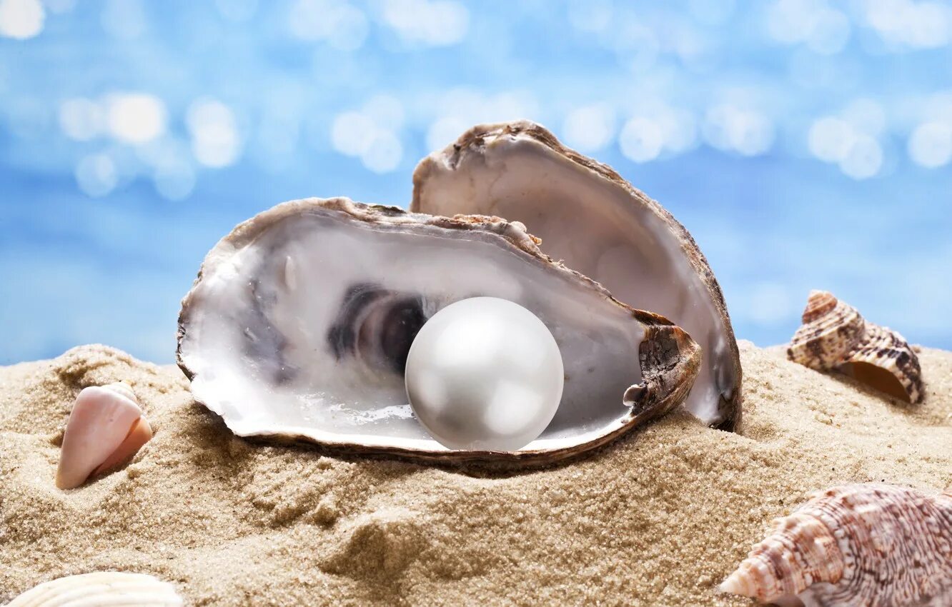 Жемчужина у моря слушать