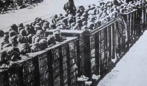 Котлы 1941 года