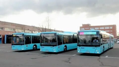 92 автобус спб