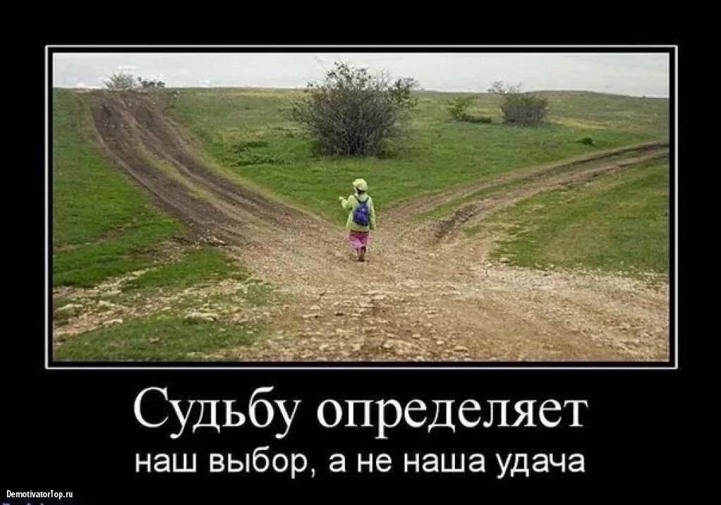 Выбор судьбы жизнь. Судьбу определяет наш выбор. правильный выбор в жизни. демотиватор правильный выбор. судьба демотиватор.