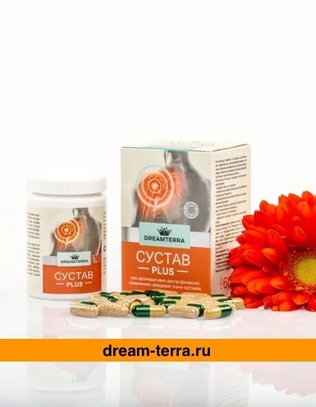 Сустав плюс купить. DREAMTERRA сустав Plus. Мазь сустав плюс Дримтерра. Сустав плюс капсулы. Сустав плюс таблетки.