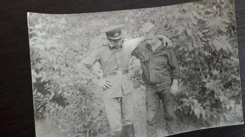 1982 1984 год