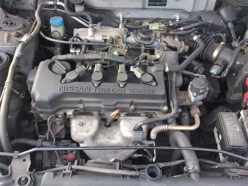 Двигатель ниссан альмера 1. Ниссан альмера двигатель 1. Ниссан альмера 1. Nissan almera classic двигатель 1. Двигатель альмера классик 1.