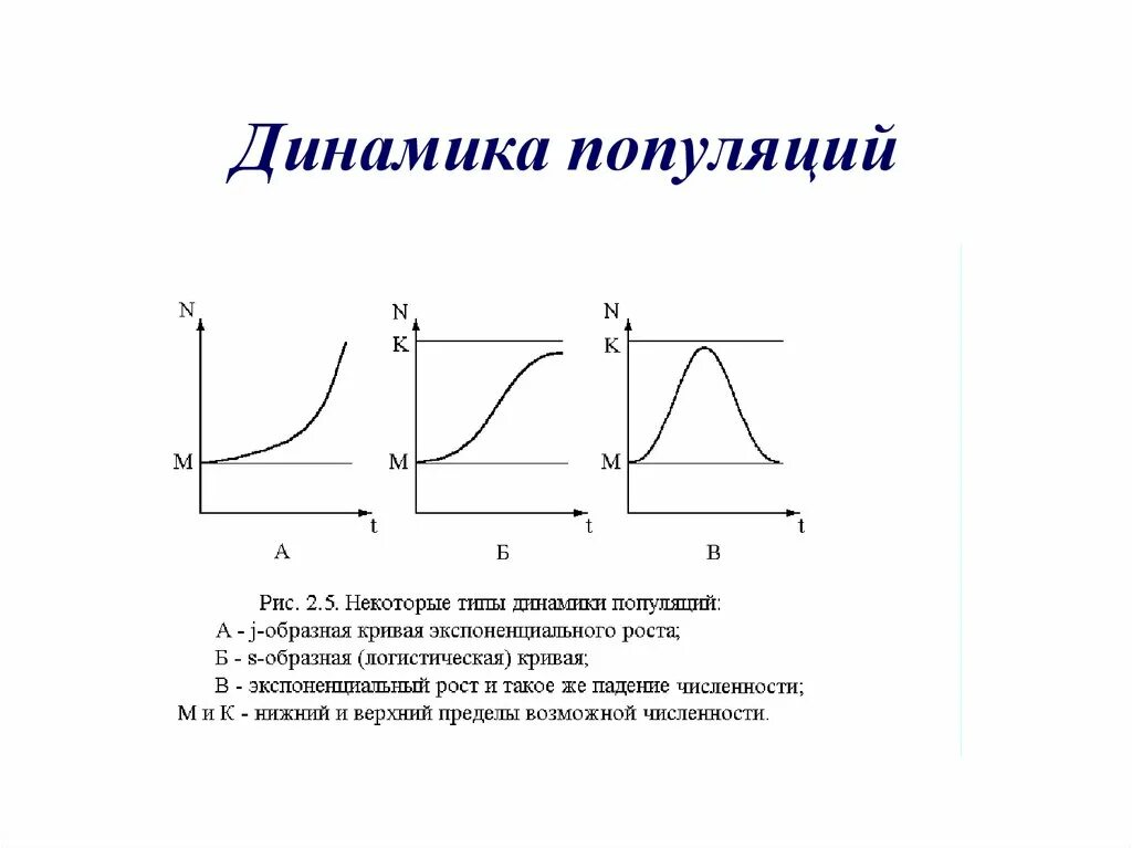 Dynamic график. Типы популяционной динамики график. график динамики численности популяции. стабильный тип динамики популяции. стабильный тип динамики популяции примеры.