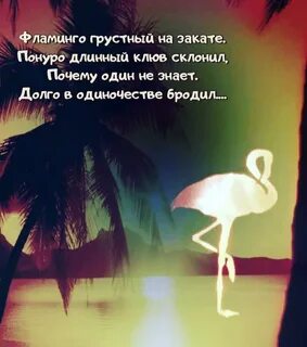 Стих про фламинго