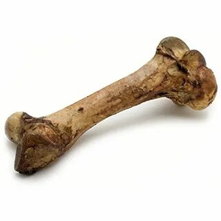 Кость наружу