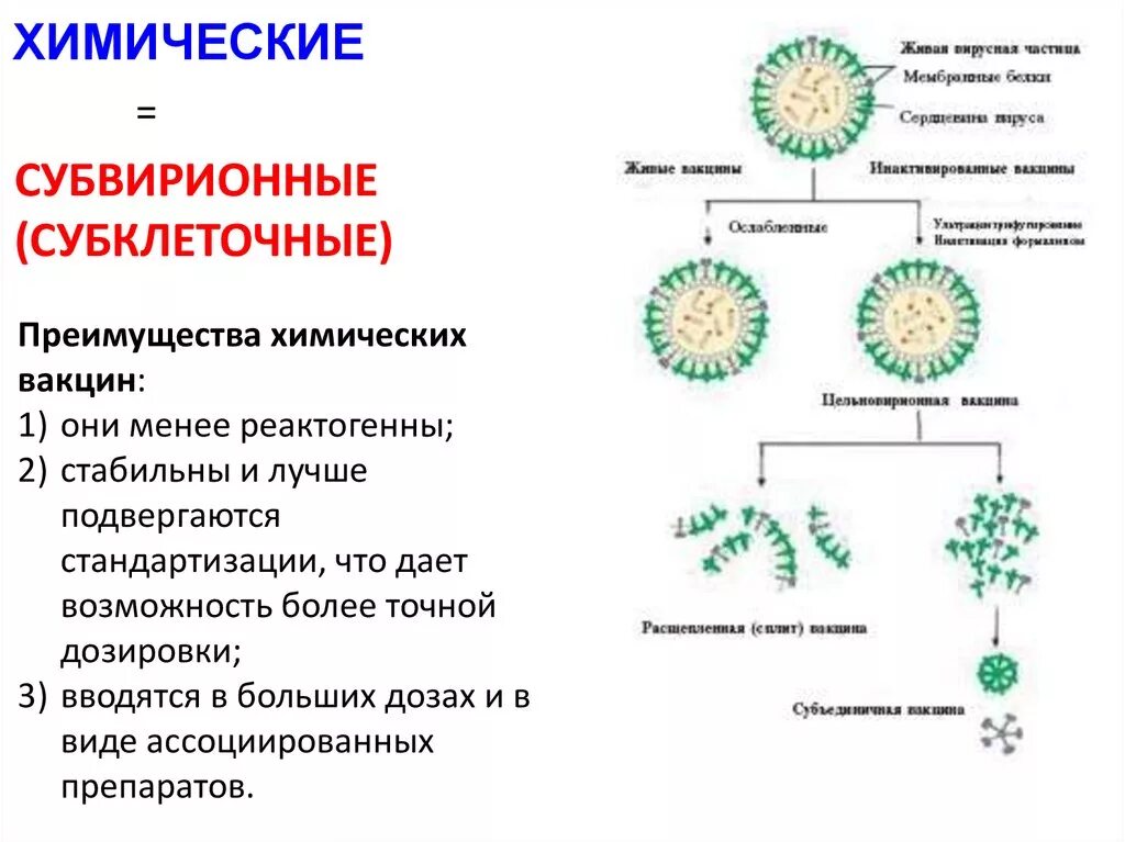 Метод получения вакцин микробиология. Вакцины живые инактивированные субклеточные и субвирионные. Химические вакцины. Субклеточные вакцины преимущества.
