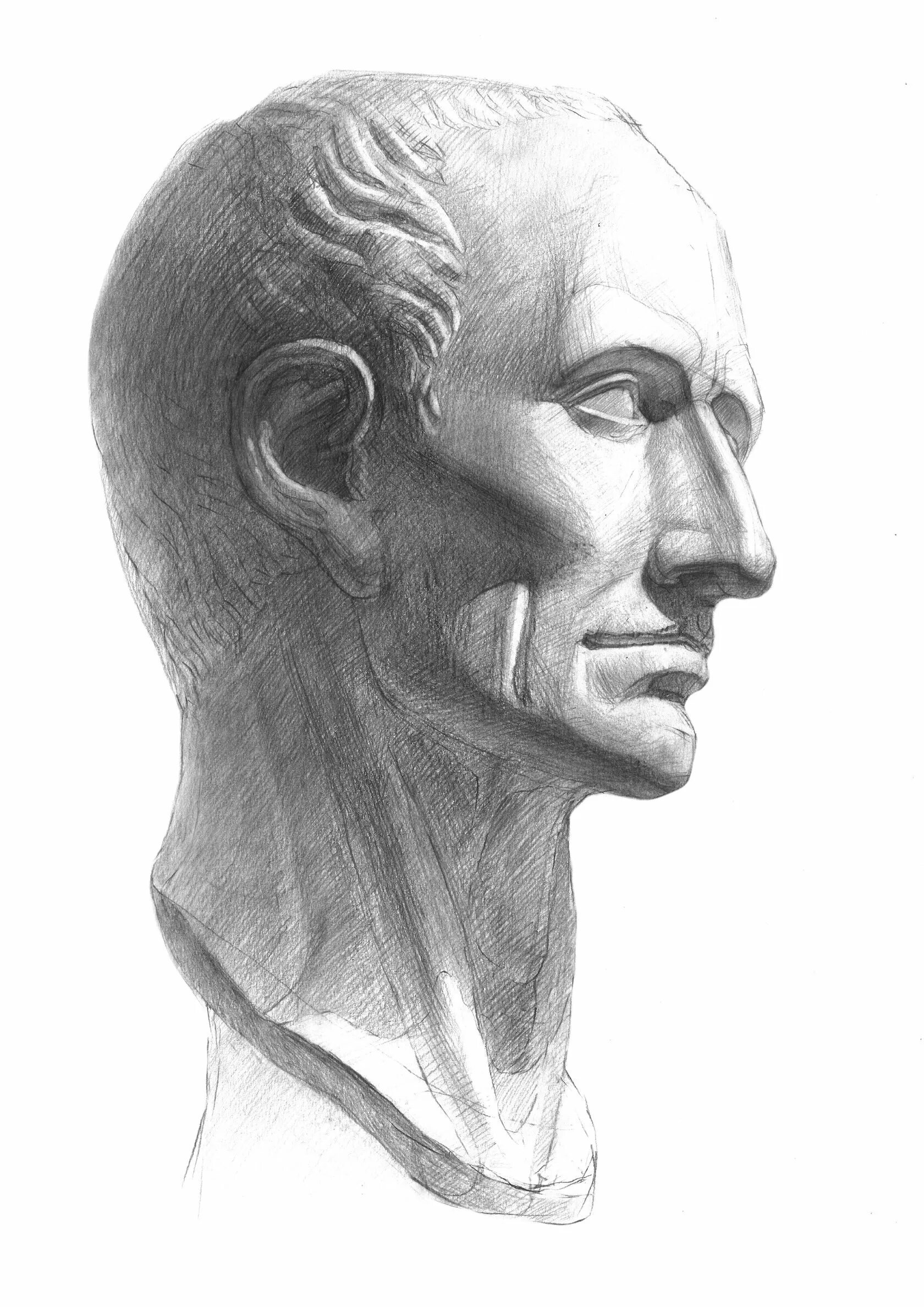 Голова цезаря рисунок. Голова цезаря мархи. Голова цезаря рисунок. Антиной гипсовая голова мархи. Голова цезаря рисунок.