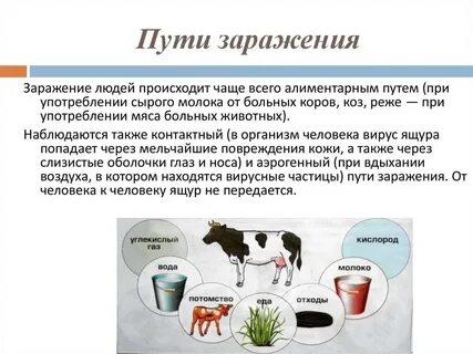 Передается ли через молоко