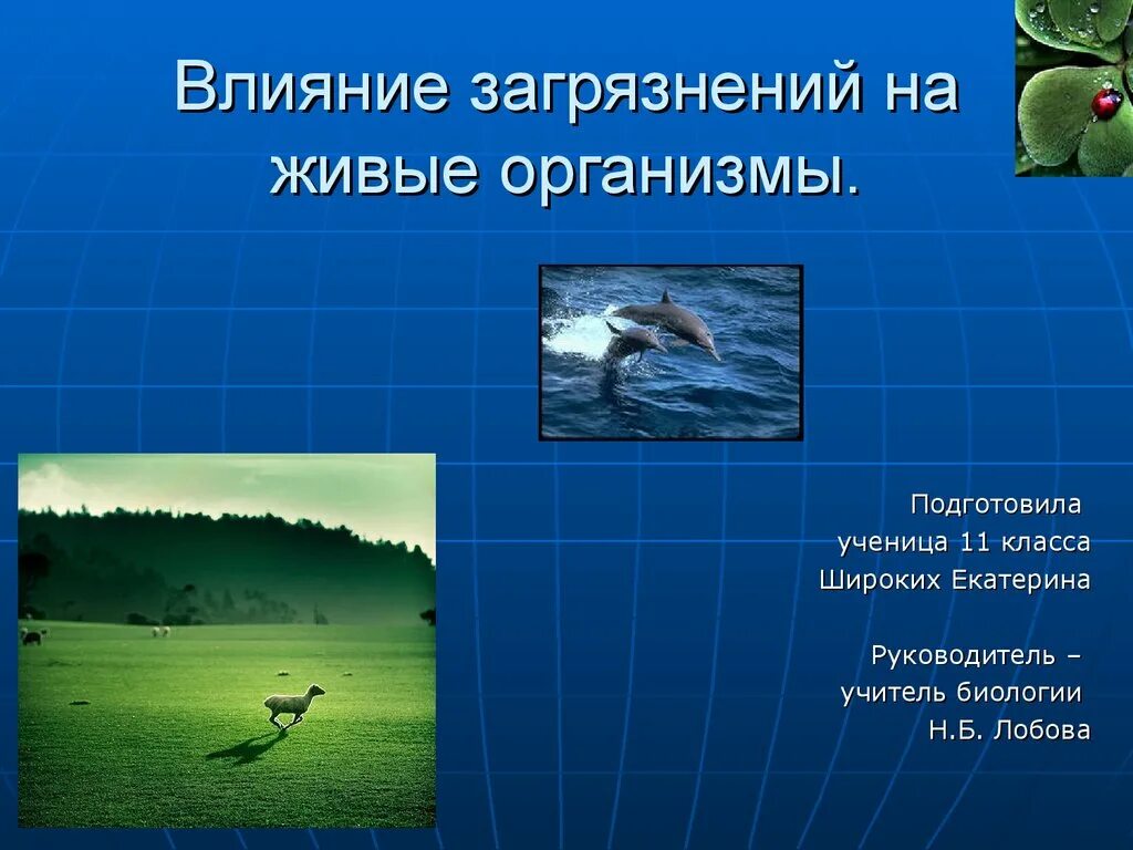 Влияние загрязнений на живые организмы. Влияние загрязнений на живые организмы презентация. Презентация на тему влияние загрязнений на живые организмы. Влияние загрязнений на живые организмы биология. Загрязнение природной среды живыми организмами