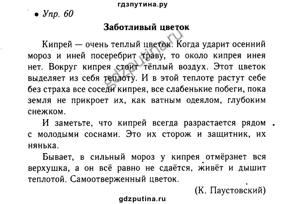 Диктант цветочные часы. Заботливый цветок изложение. Диктант заботливый цветок. План заботливый цветок. Изложение 5 класс заботливый цветок.