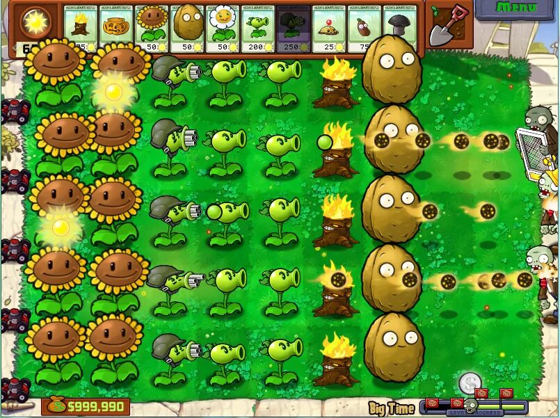 СТЕНОРЕХ растения против зомби. Plants vs Zombies СТЕНОРЕХ. Золотая Ромашка растения против зомби. Растения против зомби 2 СТЕНОРЕХ. Золотая против растений