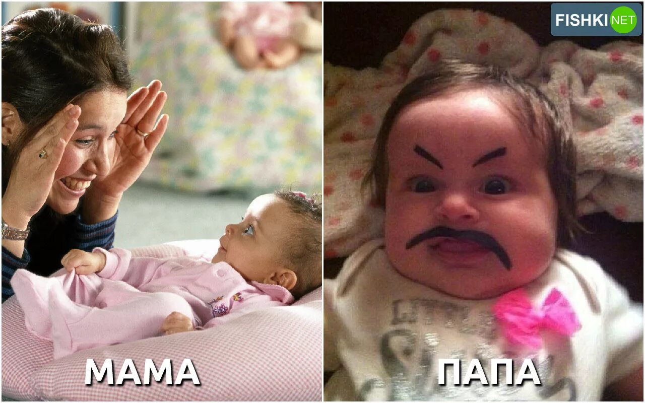 Чем отличается отец от папы