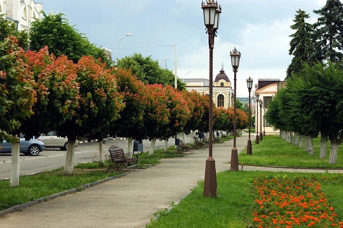 Мп город. Город Армавир Краснодарский край. Армавир осенью. Армавир Кубань. Город Армавир природа.