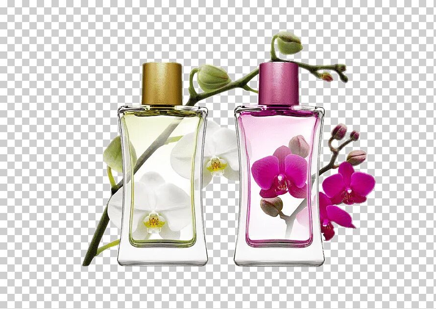 Туалетная вода perfumes. Флакон духов. Цветочный аромат. Косметика и парфюмерия. Духи без фона.