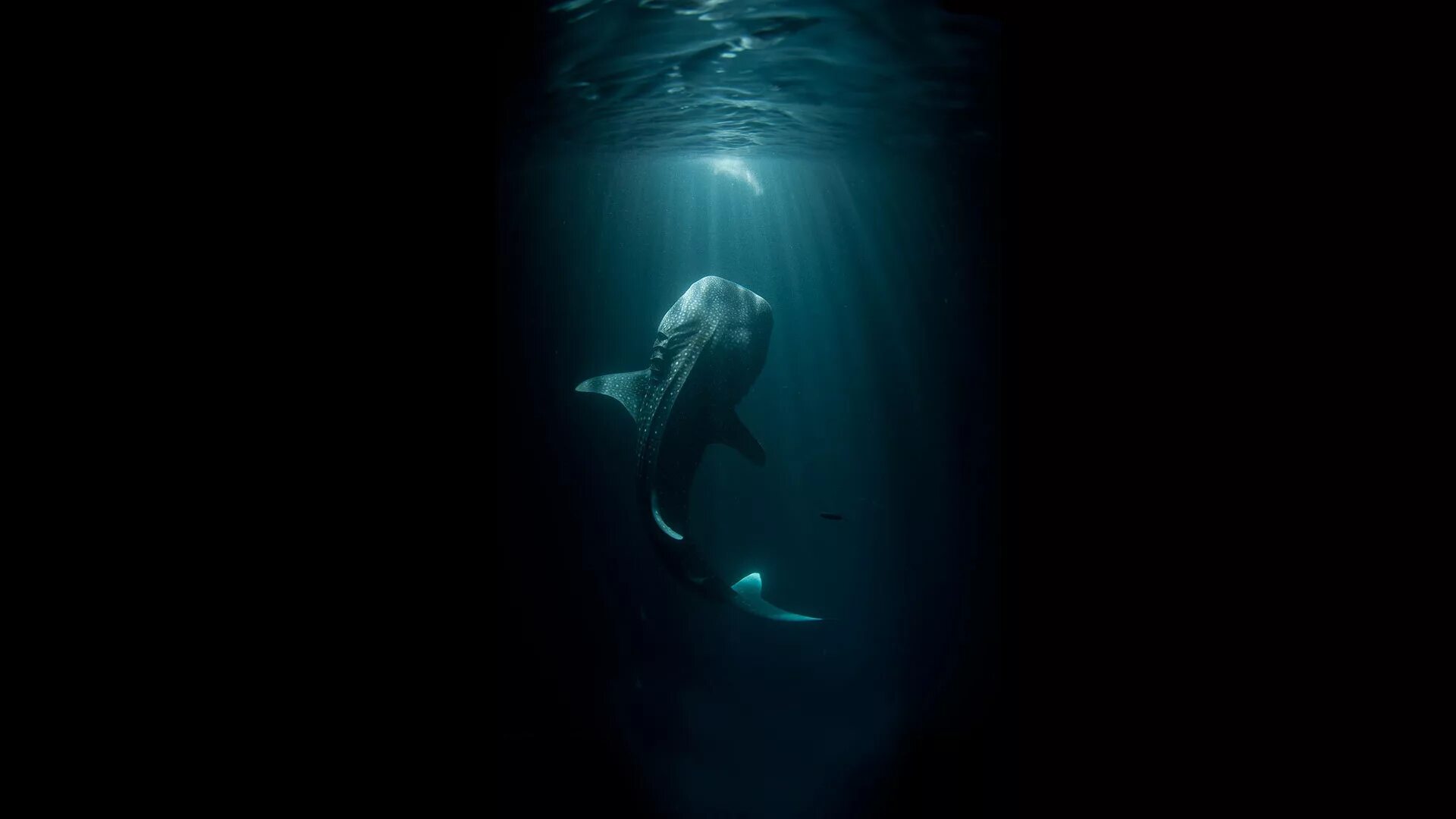 Темнота океана. Талассофобия лавкрафт. морские глубины. темнота под водой. океаны. глубина.