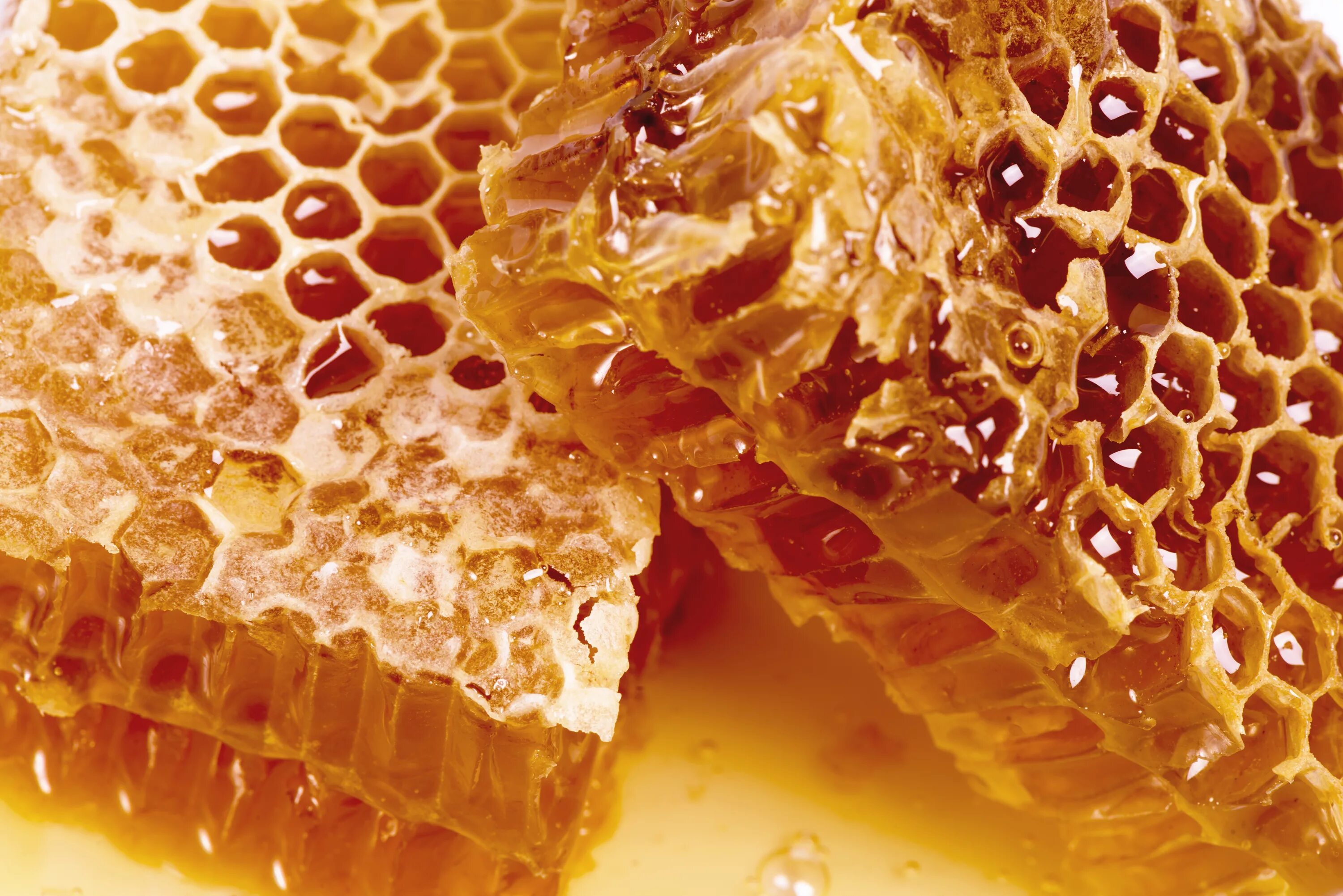 Мёд в сотах. Соты пчелиные. Пчелиные соты с медом. Пчелиный воск.