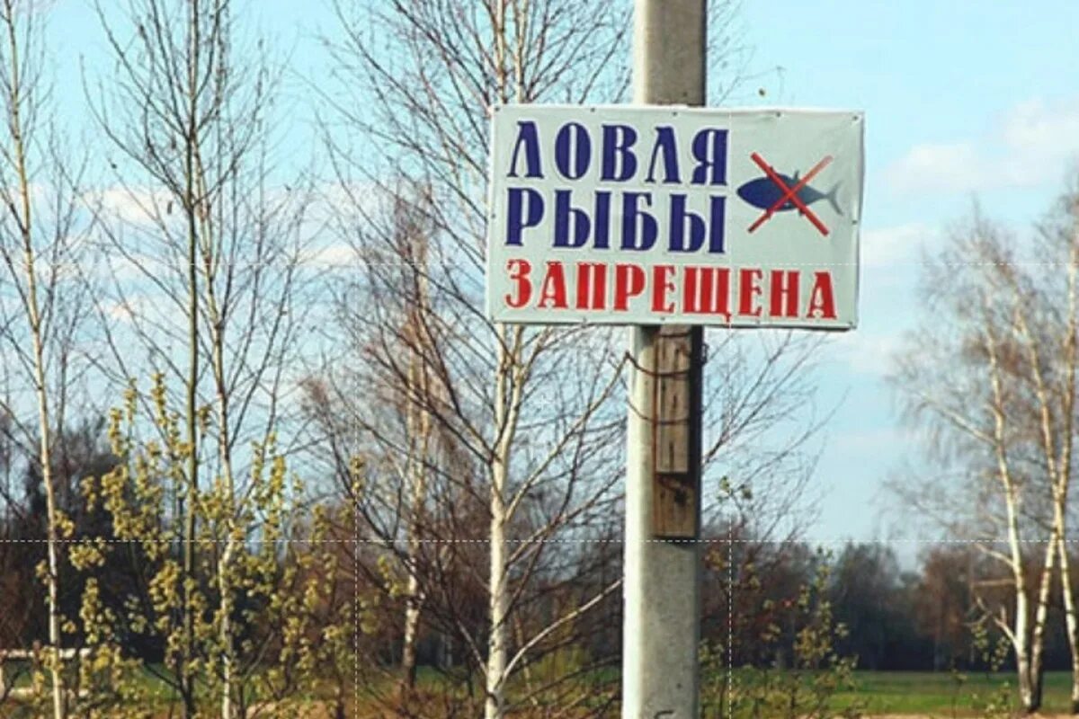 Памятка для рыболовов любителей. Памятка рыбака. Нерестовый запрет 2022. Запрет на ловлю рыбы белгородская область. Рыбалка под запретом!.