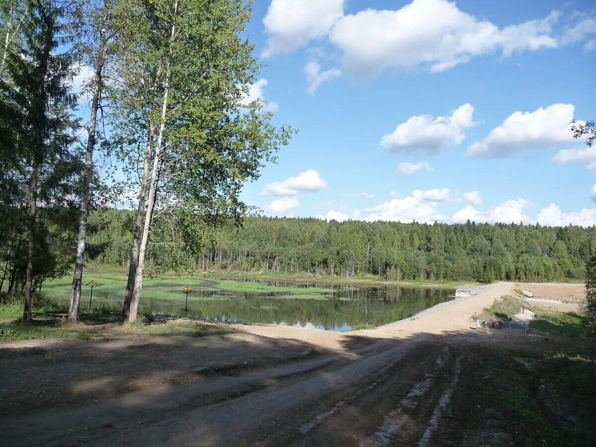 Поселок платина. Федотово река Вологда. Федотово Вологодская область платина. Плотина Федотово Вологодская область. Федотово Вологодский район.