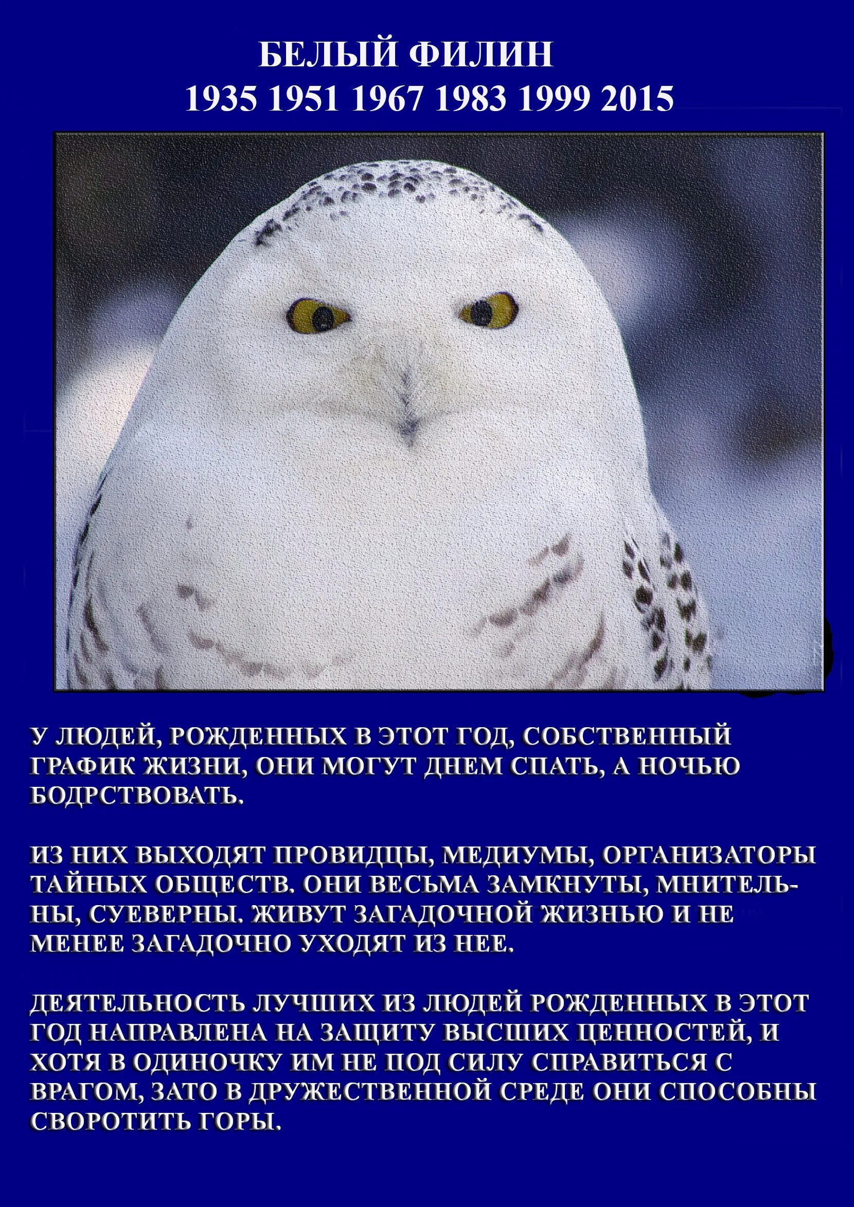 Славянский гороскоп по годам. Славянский гороскоп по годам. Славянский гороскоп. Славянский календарь шипящий уж. Славянский календарь уж.