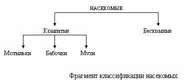 Пример 88. Пример 88