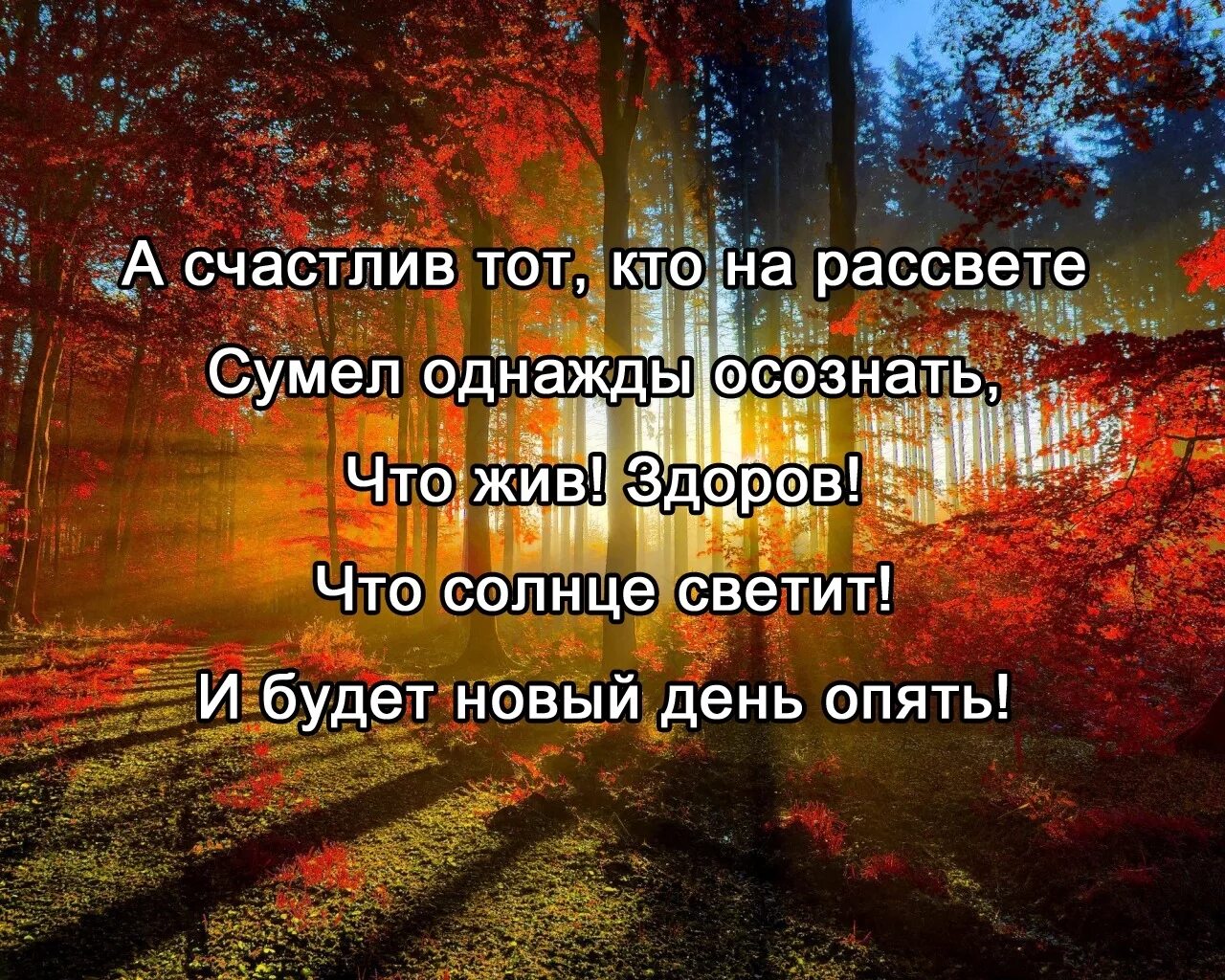 А счастлив тот кто на рассвете сумел однажды осознать. А счастлив тот кто на рассвете сумел однажды осознать картинки. Счастлив тот. Цитата счастлив тот кто на рассвете сумел однажды осознать. Я без тебя завтра встречу рассвет