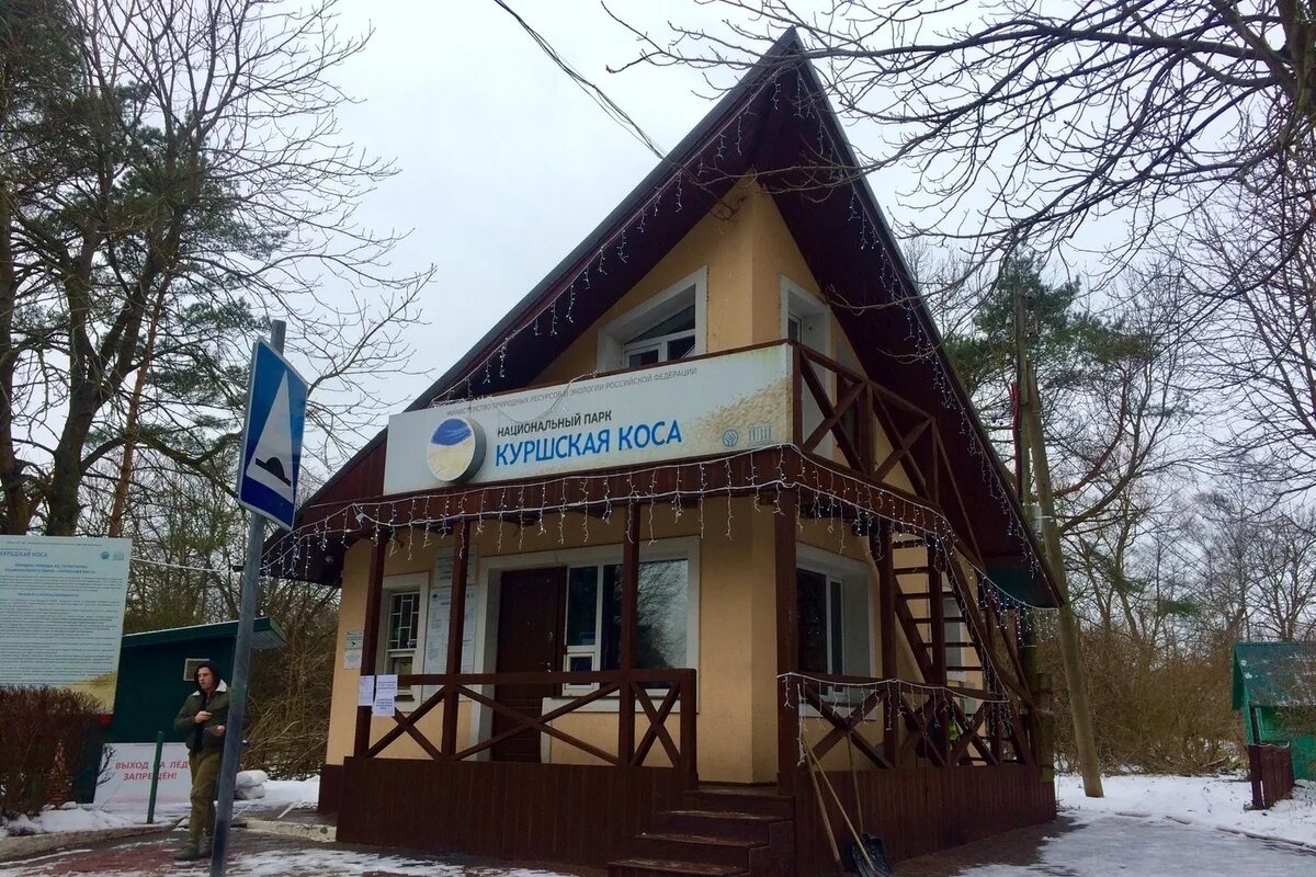 Балтийское море куршская коса. Лас променадос куршская коса. Трактир куршская коса. Зеленоградск куршская коса. Дюны калининград куршская коса.