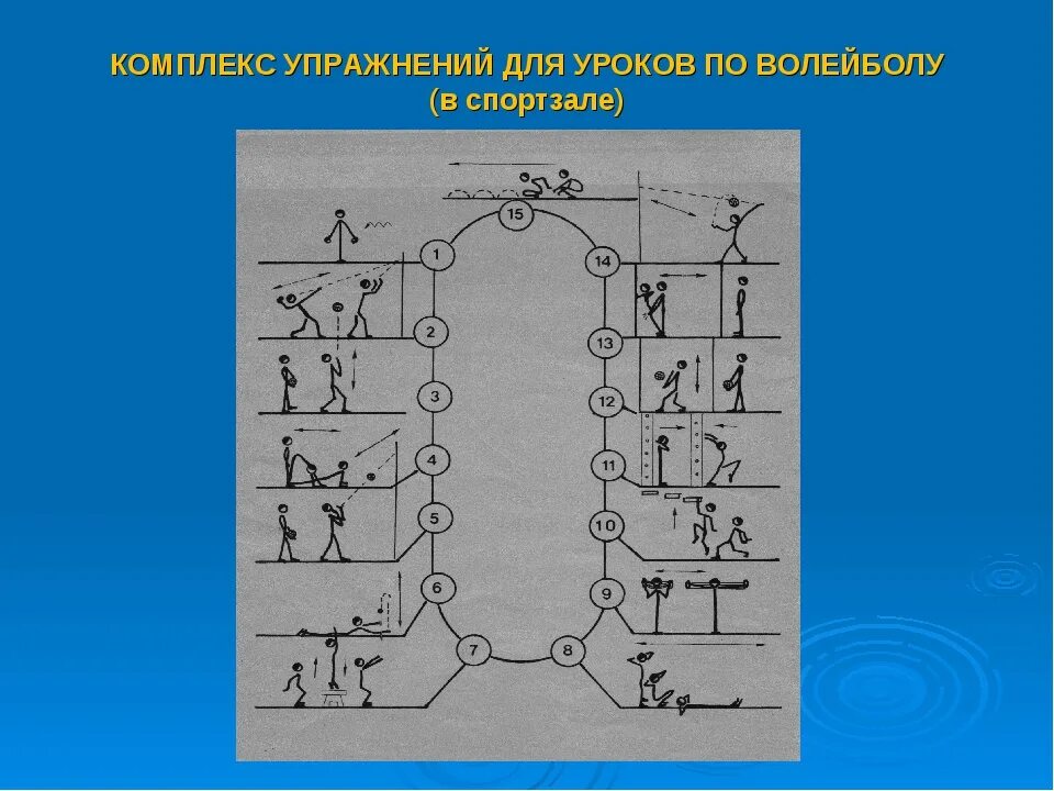 Круговая тренировка волейболистов упражнения. Круговая тренировка волейбол. Метод круговой тренировки в волейболе. Метод круговой тренировки на уроке волейбола. Кольцевой метод