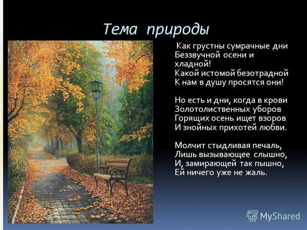 Человек и природа фет стихотворения