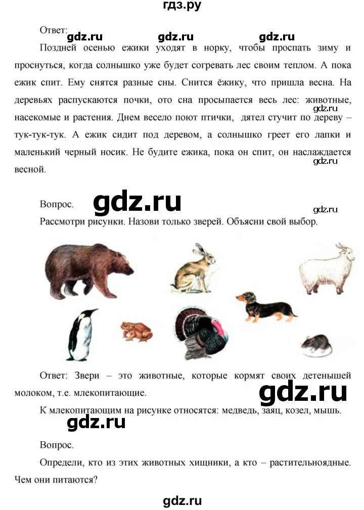 Где живут белые медведи 1 класс окружающий мир. Где живут белые медведи рабочая тетрадь. Где живут белые медведи. Крот и медведь. Крот окружающий мир 2 класс.