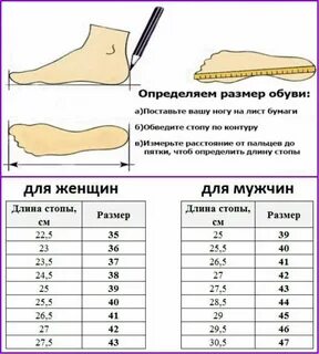 25 размер обуви это сколько см