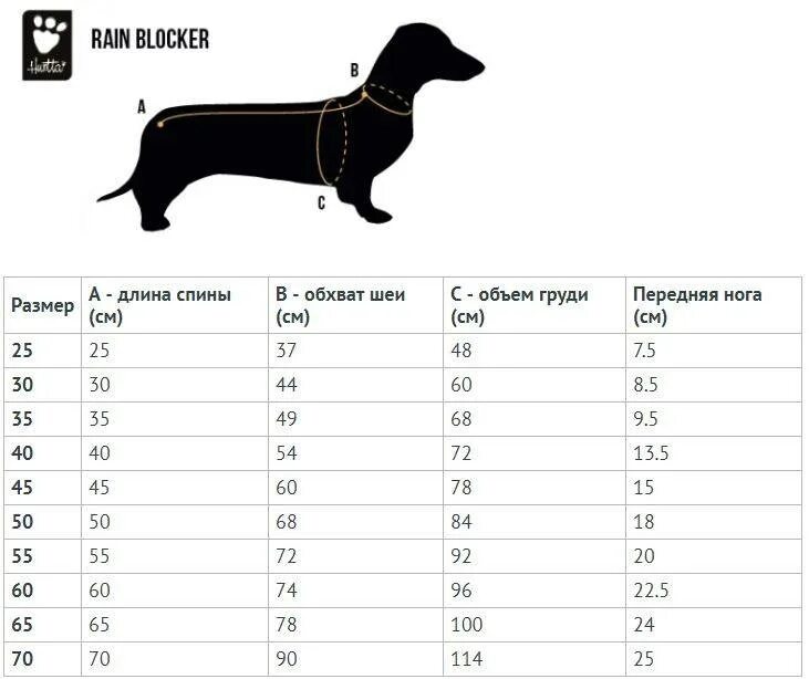 Карликовая такса кобель. Такса стандартная. Сколько живут собаки таксы. Карликовая такса толстая. Такса сбоку длинная.