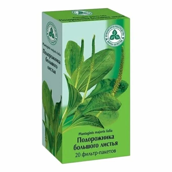 Подорожник показания к применению. Подорожник полезные свойства. Сок подорожника. Подорожник показания к применению. Лекарственные растения.