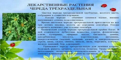 Географический процесс это длительная череда чего