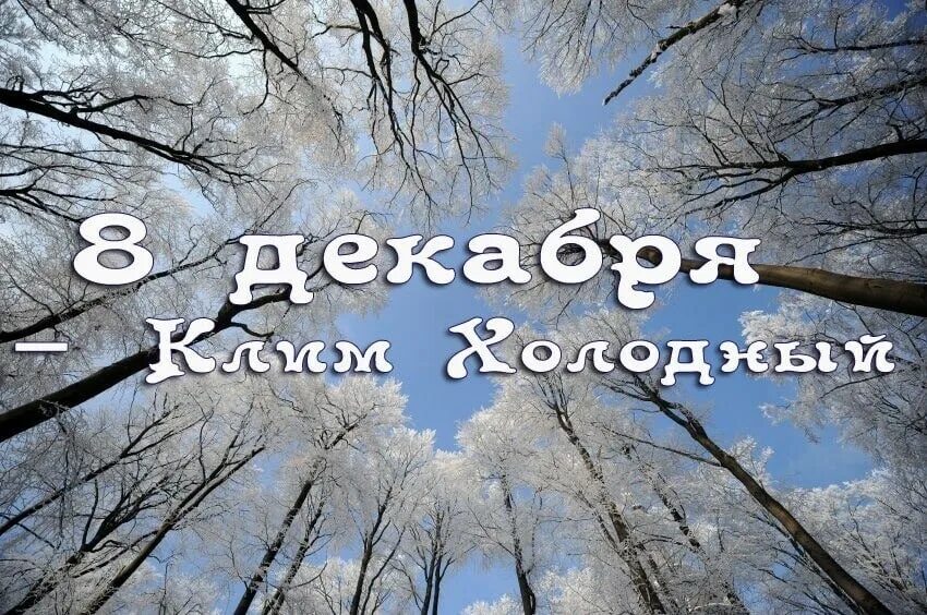 8 декабря. 8 декабря климентьев день клим холодный. народный календарь 8екабря. климентьев день народный календарь.
