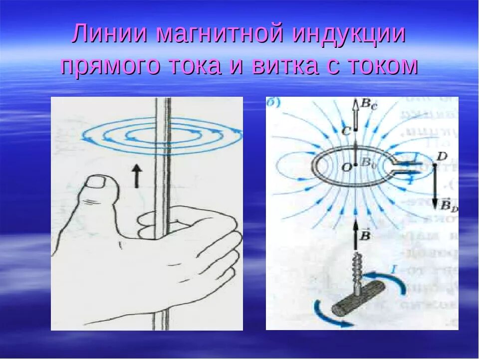 Изобразить магнитное поле витка с током. Линии магнитной индукции прямого проводника. Магнит линии магнитной индукции. Магнитная индукция. Линии индукции магнитного поля. Линии магнитной индукции поля.