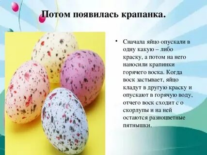Яйцо сначала