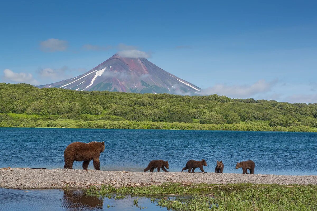 Unique kamchatka. Дальний Восток Камчатка. Петропавловск-Камчатский природа. Полуостров Камчатка Петропавловск-Камчатский. Камчатка природа.