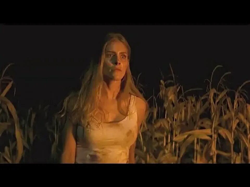 Fields 2025. Fields 2025