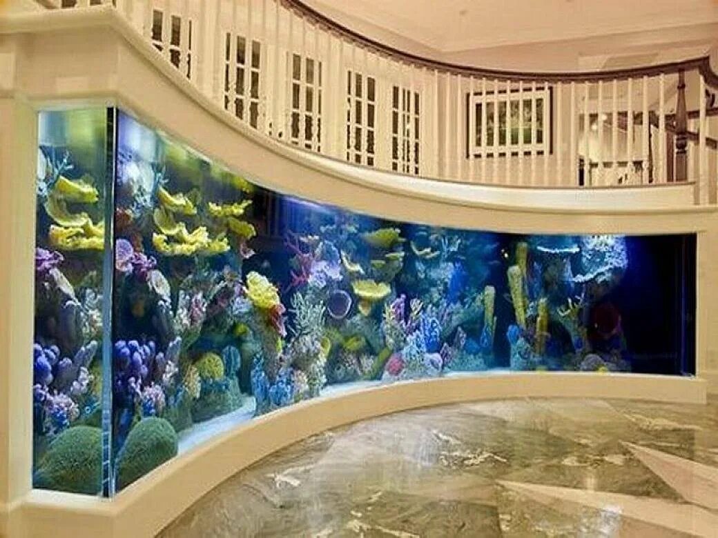 Аквариум aquarium. Большой аквариум дома. Аквариум в интерьере. Красивые большие аквариумы. Большой красивый аквариум.