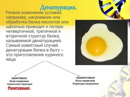 Что делать с желтками после использования белков