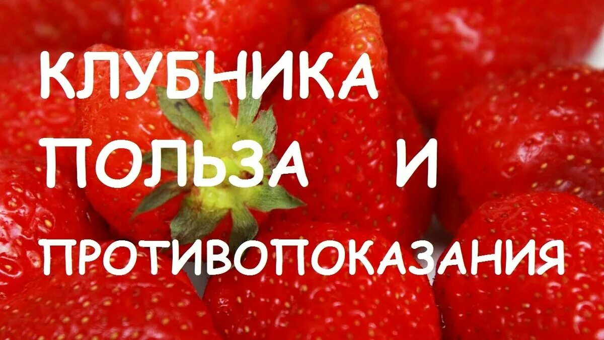 Клубника польза. Полезна клубника для организма. Что полезного в клубнике. Противопоказания у клубники. Клубника польза для здоровья