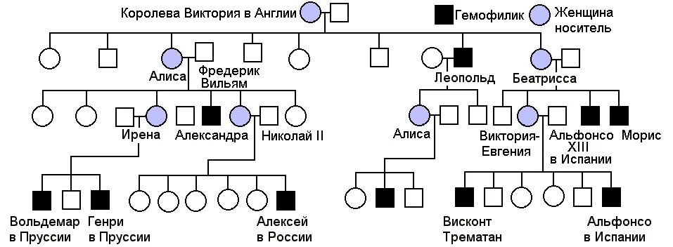 В каком случае может родиться девочка гемофилик