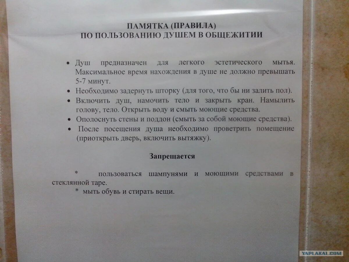 Протокола общежитий. Правила пользования душевой. Правило пользования душем. Памятка для проживающих в общежитии. Правила пользования общей кухней в общежитии.